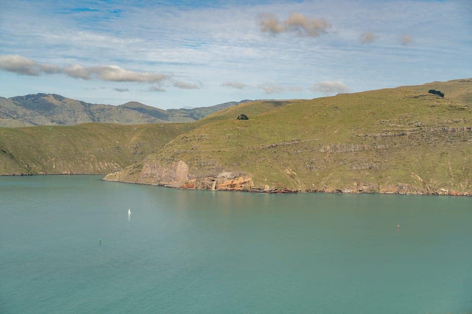 Lyttelton