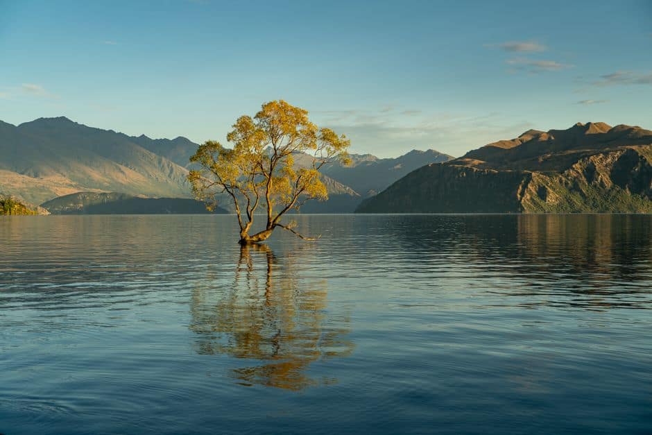 Wanaka